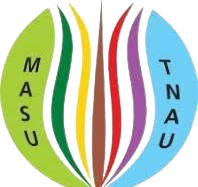 MASU